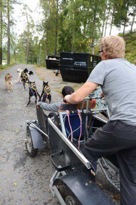 Hundekjøring_lite