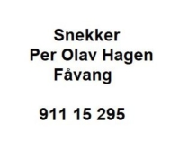 Per Olav hagen