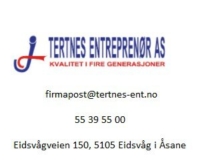 tertnes-ent.no