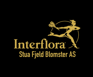 Aug 23 interflora.no Viken