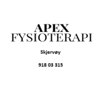 apex fysioterapi as